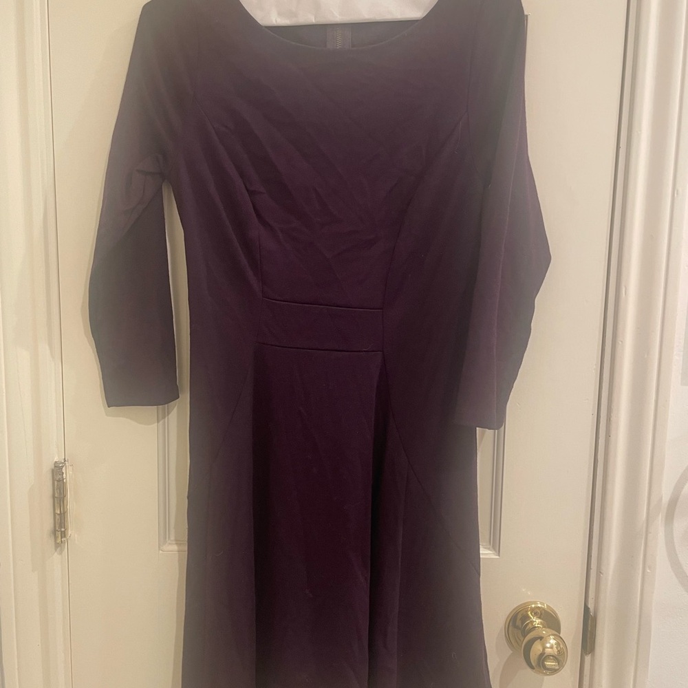 Eggplant Purple Dress